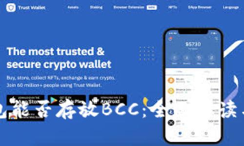 比特币钱包能否存放BCC：全面解读与用户指南