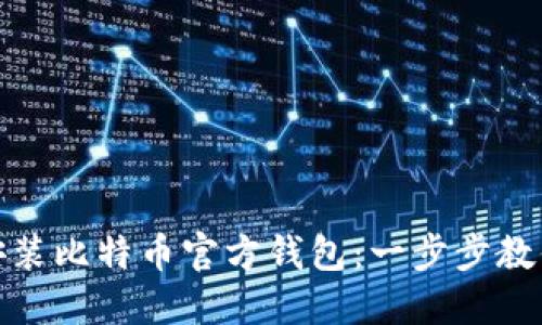 如何下载安装比特币官方钱包：一步步教你轻松掌握
