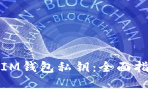 如何找回IM钱包私钥：全面指南与技巧