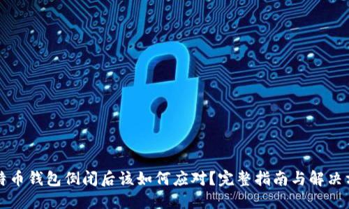 比特币钱包倒闭后该如何应对？完整指南与解决方案