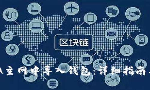 如何在DNA主网中导入钱包：详细指南与步骤解析