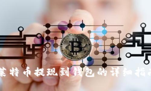 莱特币提现到钱包的详细指南