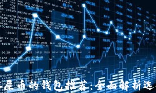 
最安全的能存屎币的钱包推荐：全面解析选择与使用指南