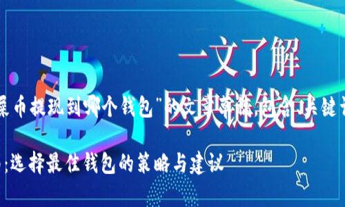 以下是关于“屎币提现到哪个钱包”的文章草稿，包含、关键词和详细介绍。

屎币提现指南：选择最佳钱包的策略与建议