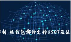 全面解析：热钱包哪种支持USDT及使用指南