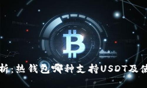 全面解析：热钱包哪种支持USDT及使用指南