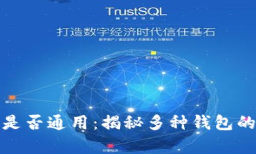 比特币钱包是否通用：揭秘多种钱包的差异与选择