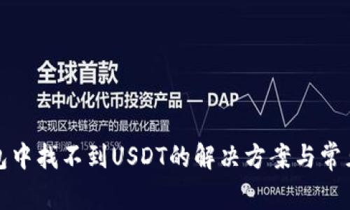 TP钱包中找不到USDT的解决方案与常见问题