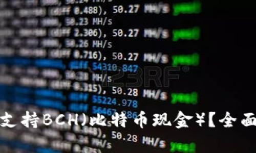 哪些钱包支持BCH（比特币现金）？全面解析推荐