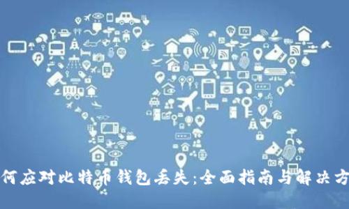 如何应对比特币钱包丢失：全面指南与解决方案