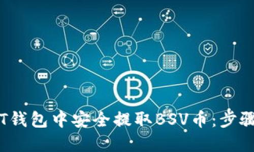 如何在T钱包中安全提取BSV币：步骤与技巧