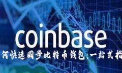 如何快速同步比特币钱包：一站式指南