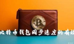 提升比特币钱包同步速度的有效方法