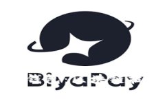 全面解析云币网Token.im钱包：区块链技术与数字资