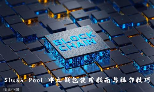 Slush Pool 中文钱包使用指南与操作技巧