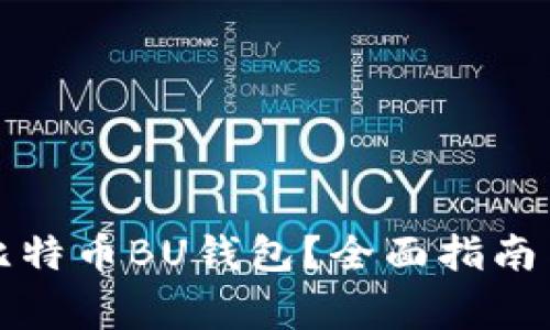 如何安全使用比特币BU钱包？全面指南与常见问题解答