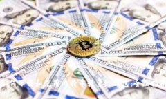 如何下载和使用比特币轻量级钱包：全面指南