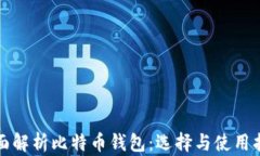 全面解析比特币钱包：选择与使用指南