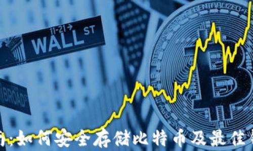 
完整指南：如何安全存储比特币及最佳钱包选择