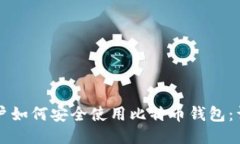 大陆用户如何安全使用比特币钱包：详细指南