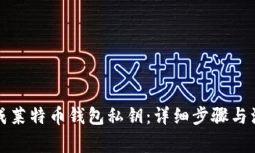 如何生成莱特币钱包私钥：详细步骤与注意事项