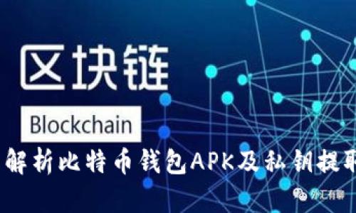   全面解析比特币钱包APK及私钥提取方法 