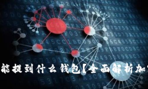 屎币（Shitcoin）能提到什么钱包？全面解析加密货币存储选择
