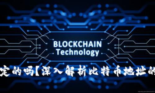 比特币地址是固定的吗？深入解析比特币地址的特性与使用方式